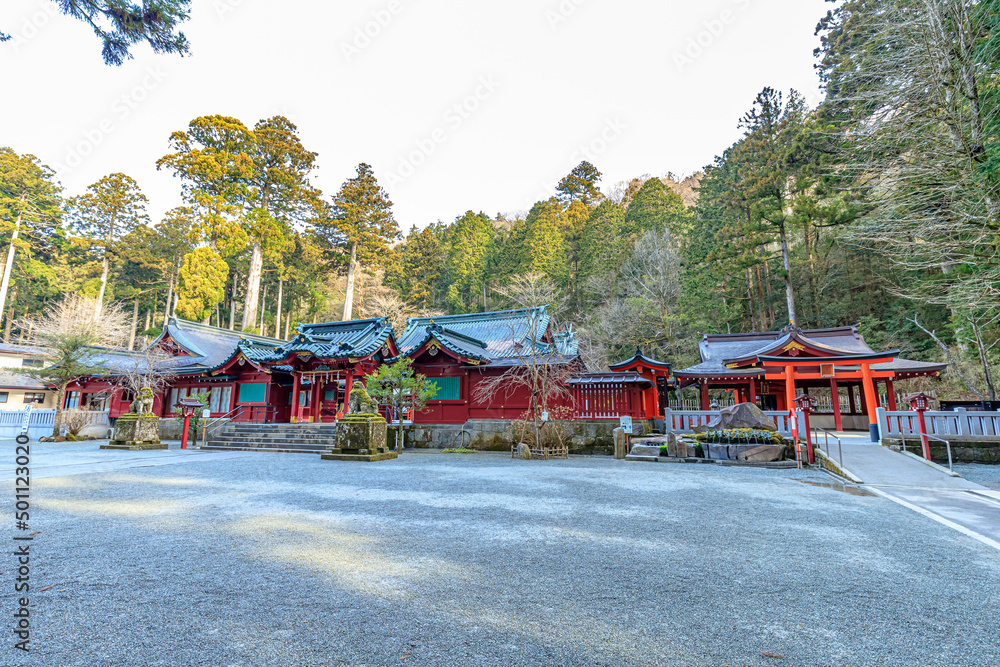 初春の箱根神社 神奈川県箱根町 Hakone Shrine in early spring. Kanagawa-ken Hakone town. 初春の箱根神社 神奈川県箱根町 Hakone Shrine in early spring. Kanagawa-ken Hakone town.