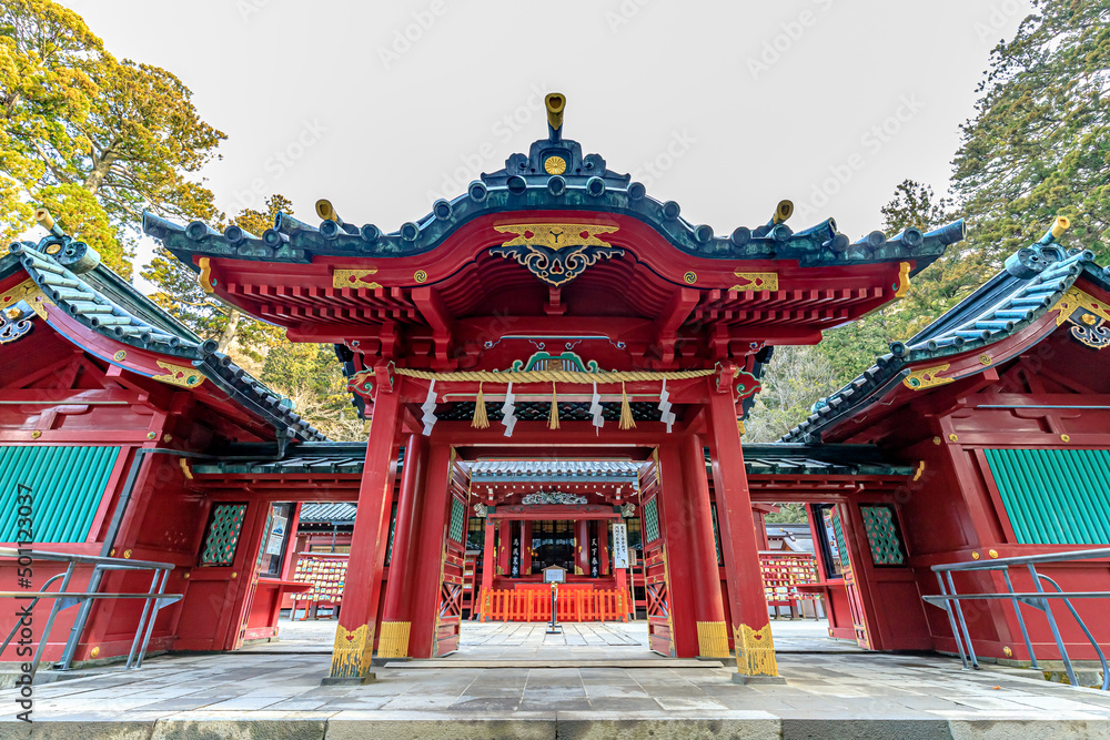 初春の箱根神社　神奈川県箱根町　Hakone Shrine in early spring. Kanagawa-ken Hakone town.