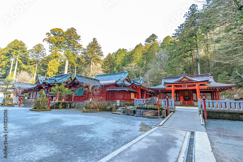                                                 Hakone Shrine in early spring. Kanagawa-ken Hakone town.