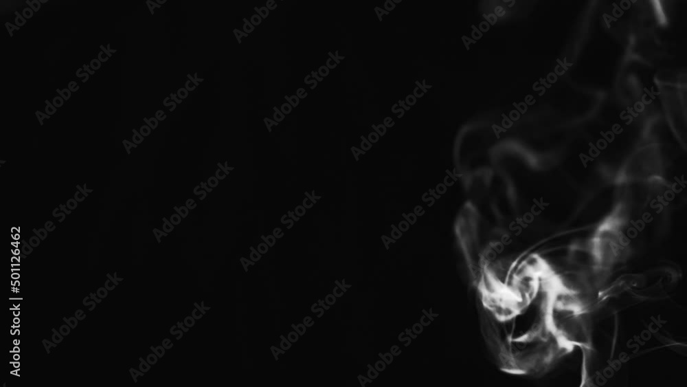 Abstract black and white smoke with a black background in slow motion. Realistic cloud smoke with streamline pattern. Abstract black and white smoke with a black background in slow motion. Realistic cloud smoke with streamline pattern.