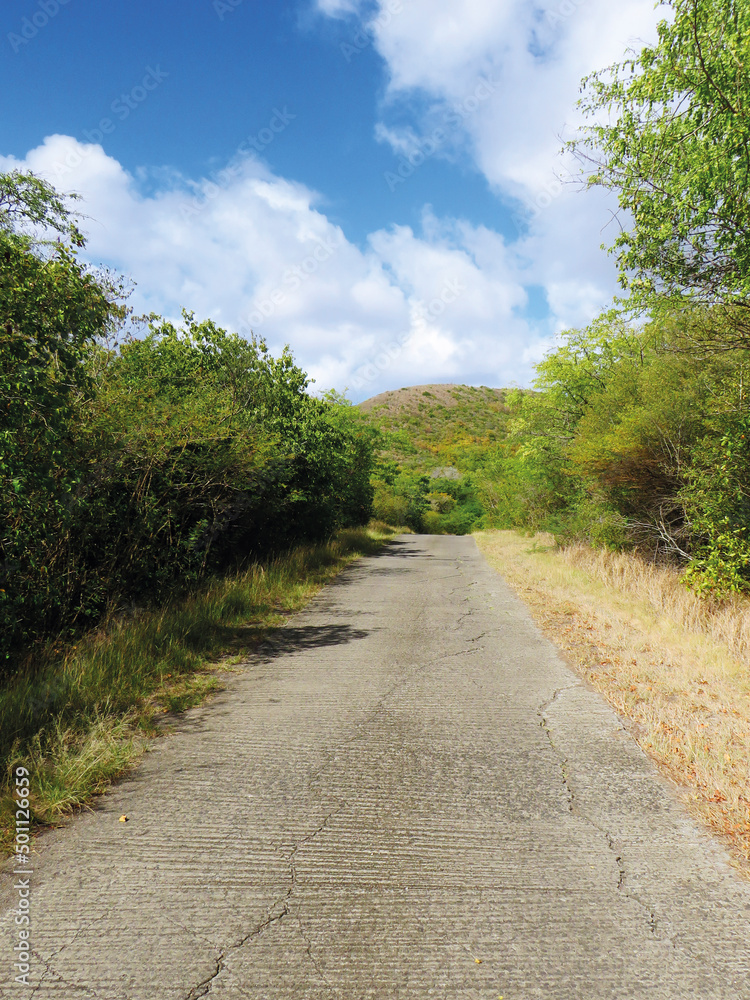 Straight paved road in dry season tropical landscape. Hiking route. Country road under Caribbean blue sky. Travel concept, trekking in the French West Indies. Straight paved road in dry season tropical landscape. Hiking route. Country road under Caribbean blue sky. Travel concept, trekking in the French West Indies.