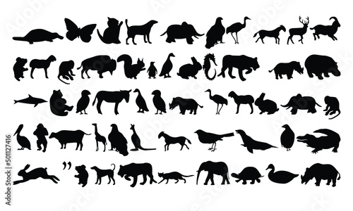 A collection of animal vectors for logos  icons  t-shirts and children s learning.