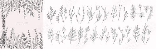 Luxury botanical background with trendy wildflowers and minimalist flowers for wall decoration or wedding. Hand drawn line herb, elegant leaves for invitation save the date card. Botanical rustic