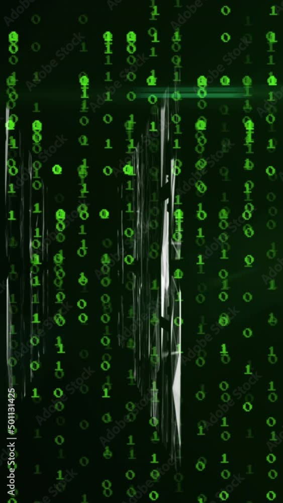 Animation of networks, binary coding and data processing Animation of networks, binary coding and data processing