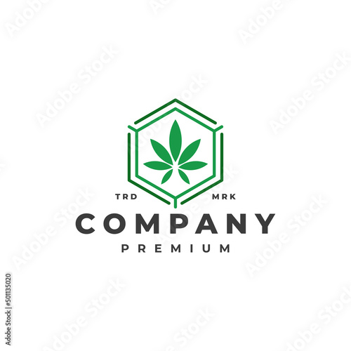 Hexagon cannabis leaf logo vector icon template