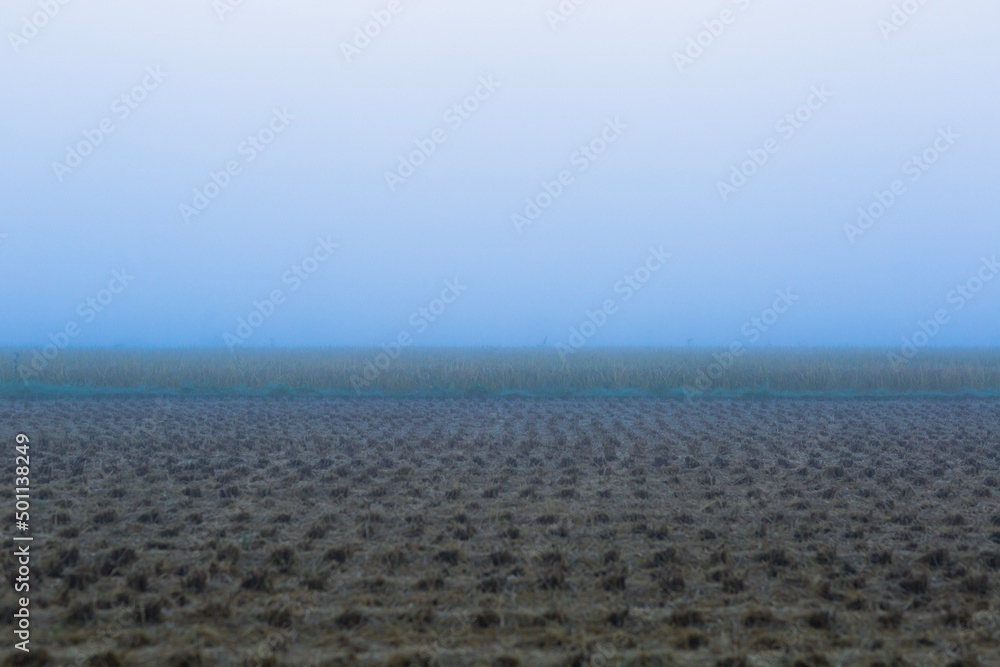 Obraz premium sky over the field