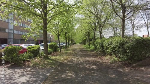 A walkway between an avenue of trees in an English town in spring, tilt up photo