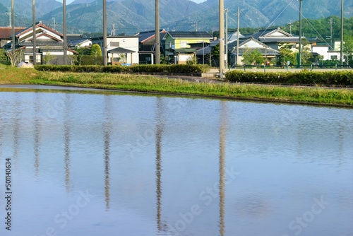 日本の風景 水田 田植え 滋賀県 農家 田舎 4月の風景