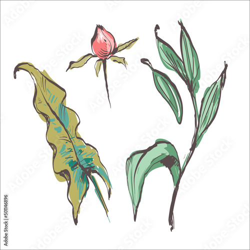 Rose bud, leaves and stems in engraving style. Hand drawn realistic open and unblown rosebuds. Decorative vector elements for tattoo, greeting card, wedding invitation.