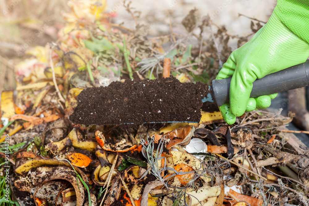 Compost on Composter with Organic Waste. Compost Soil Cycle as ...