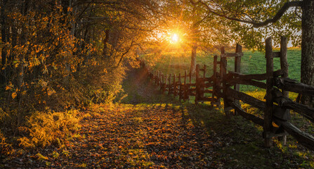 Late evening sunshine filtering through fall foliage with trailing split rail fence in the Cumberland Gap National Park