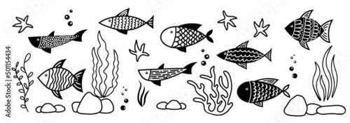 Fish and Seaweed vector set. Silhouettes of corals, carps and algae in doodle style. Drawing of Undersea life. Hand drawn sketch