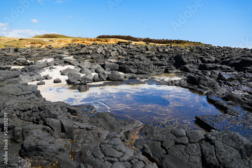 Tide pools on columnar jointed volcanic lava rock in South Point Park, the southernmost point of the United States on the Big Island of Hawaii in the Pacific Ocean © Alexandre ROSA