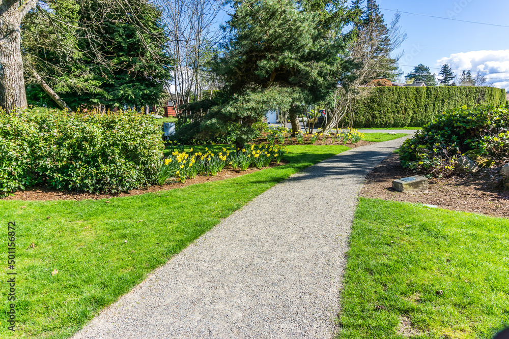 Obraz premium Path And Daffodils