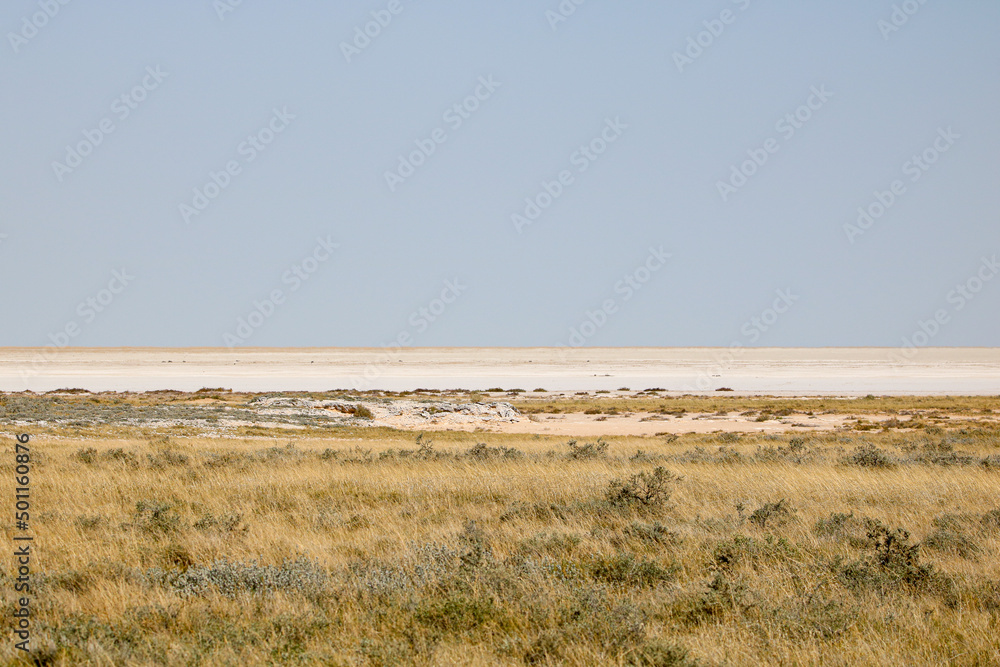Etosha salt pan, Etosha National Park, Namibia