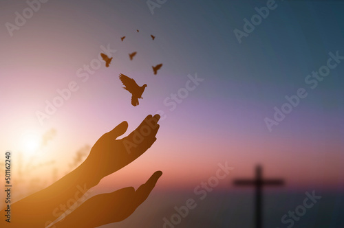 Silhouette hand of woman praying and free bird enjoying nature on sunrise and orange background with sunlight with a cross in the background.