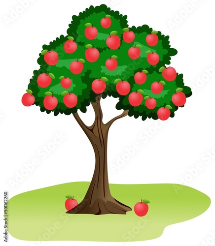 apple tree vector drawing on isolated white background plant fruit fall trunk branch grass autumn rural garden logo object icon sign flat design farm harvest concept newton red ripe apple cartoon food