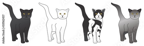 black white spotted grey color cat set vector drawing on isolated background object icon sign logo cartoon abstract art illustration love animal tomcat puss breed concept house home pussycat pet 