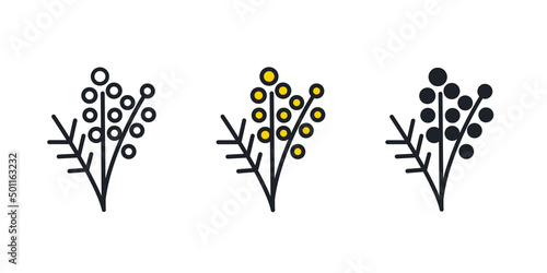 Mimosa icon. Spring flowers isolated vector icons