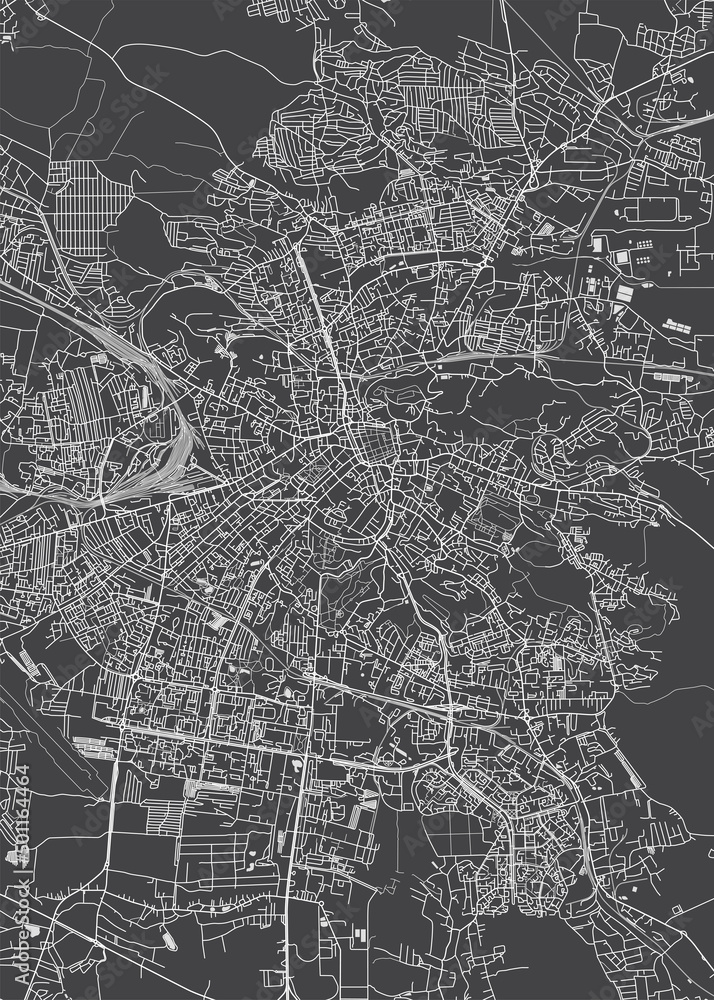 City map Lviv, monochrome detailed plan, vector illustration