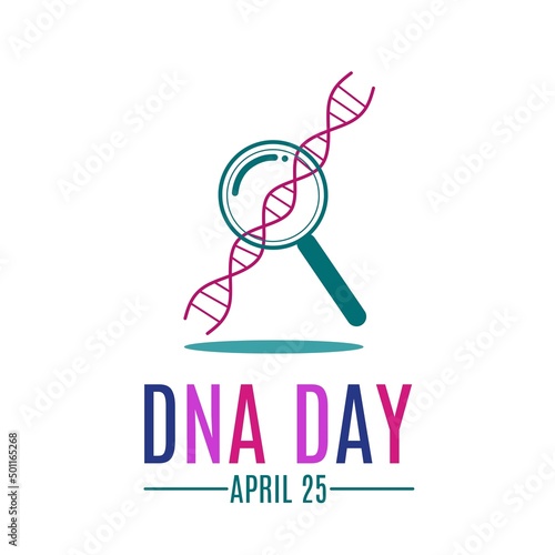 vector illustration of a dna glass with a magnifying glass. suitable for DNA day on april 25 .