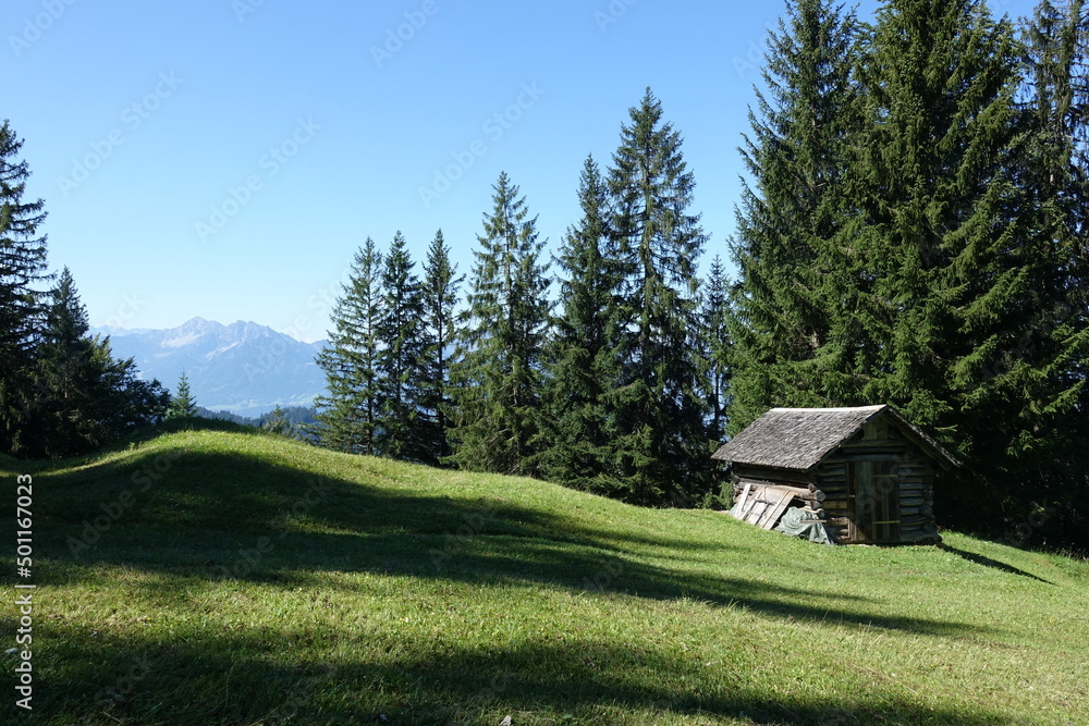 Almhütte bei Furx Almhütte bei Furx