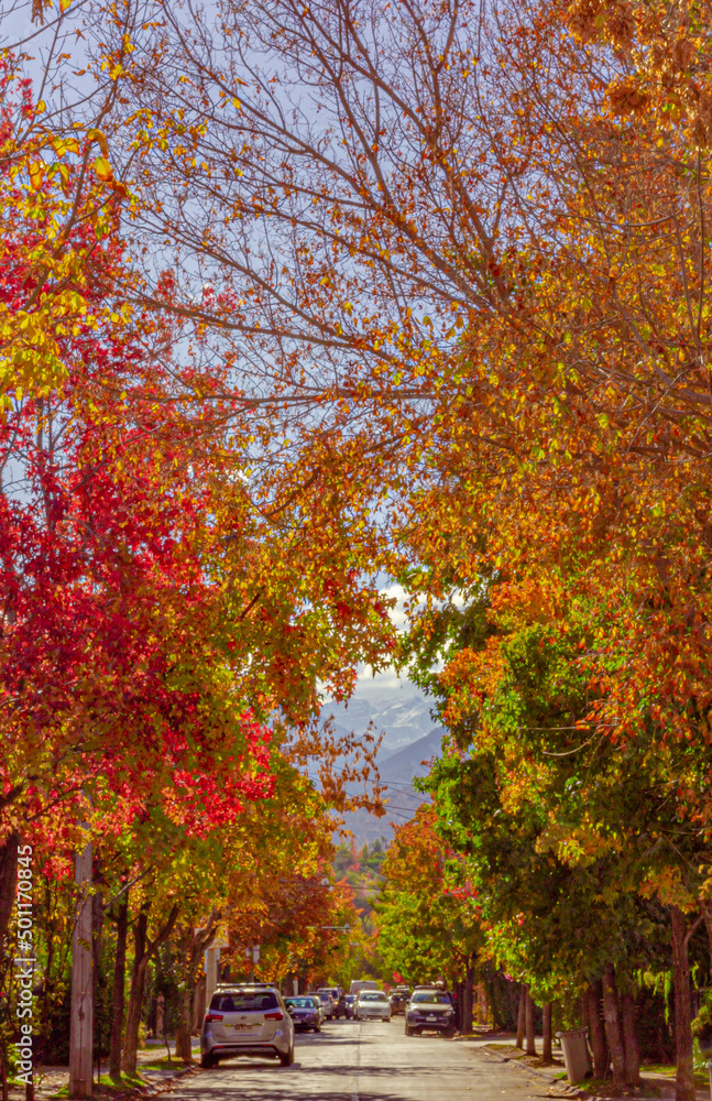 Naklejka premium Autum