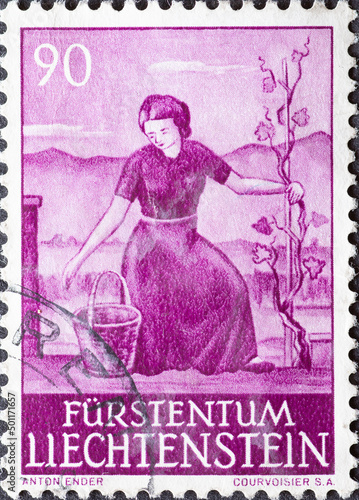 LICHTENSTEIN - CIRCA 1961  a postage stamp from LICHTENSTEIN   showing a Woman in Vineyard . Circa 1961