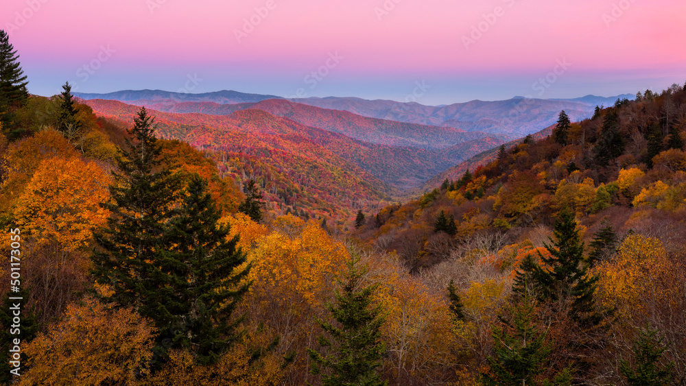 Belt of Venus glowing in the skies over autumn foliage in Tennessee's Great Smoky Mountains National park