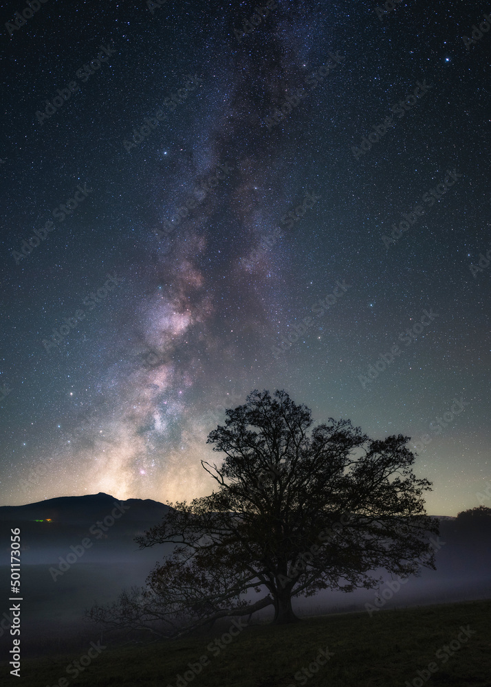 Milky way galaxy rising up over oak tree and foggy valley in the Blue Ridge Mountains of North Carolina Milky way galaxy rising up over oak tree and foggy valley in the Blue Ridge Mountains of North Carolina