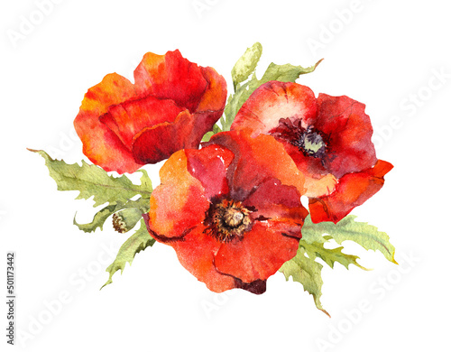 Fototapeta Naklejka Na Ścianę i Meble -  Red poppy flowers bouquet. Watercolor floral illustration