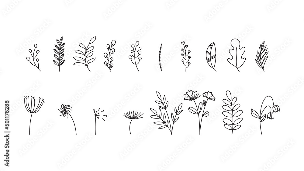 Set line drawing minimalist flowers .isolated on white background ,Vector illustration EPS 10