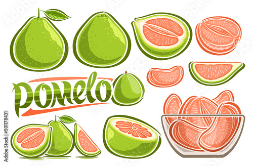Vector Green Pomelo Set, lot collection of cut out illustrations various fruity tropical still life with leaves and section pomelo, many variety ripe fruits in transparent glass plate and word pomelo photo