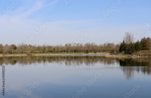 The quiet countryside lake on a sunny day.