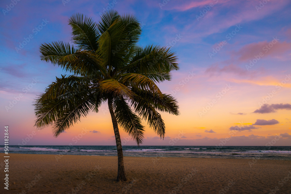Beach palm and twilight skies over Punta Cana Beach in the Dominican Republic
