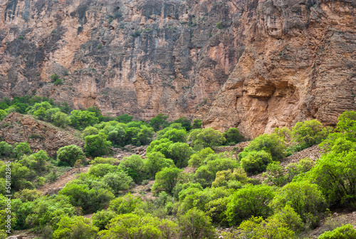 Green bushes and brow rocks