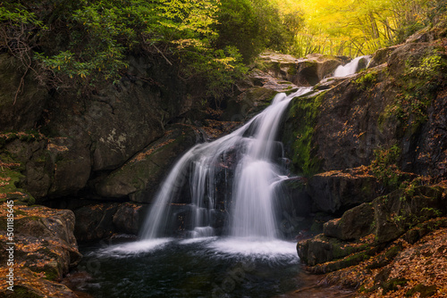Scenic waterfall  forest foliage  Blue Ridge Mountains  North Carolina