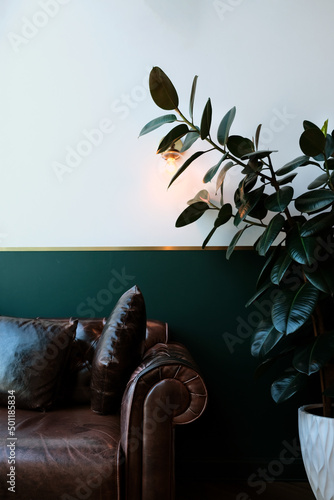 Classic green interior design with brown leather sofa and green plant nearby photo