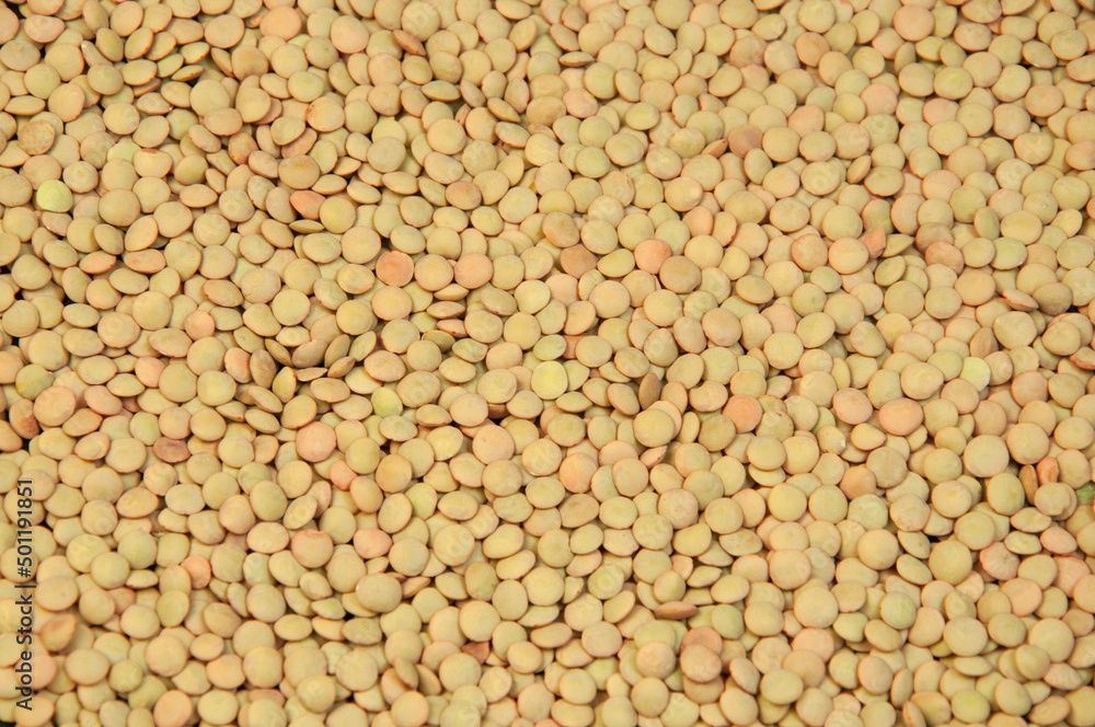 lentil groats close-up. peas for cooking. the concept of cooking porridge. lentil groats close-up. peas for cooking. the concept of cooking porridge.