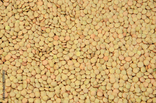 Photos lentil groats close-up