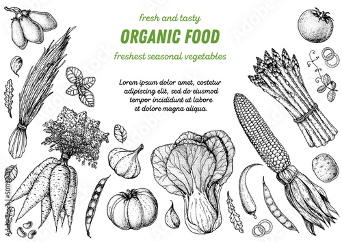 Vegetables sketch. Hand drawn illustration. Top view frame. Organic food poster. Good nutrition, healthy food. Vector illustration. Carrot, corn, tomato, garlic, asparagus, bok choy, cabbage, salad.