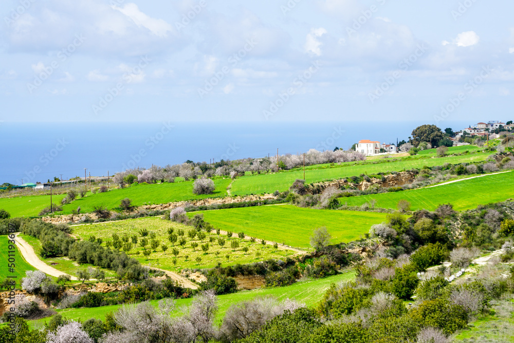 Beautiful spring nature landscape in Cyprus with the Mediterranean coast in the background