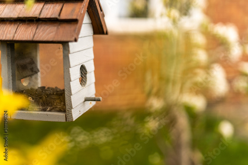 Bird feeder in shape of a little house with glass on sides to see birds eating from it. Birdhouse made out of wood in white and brown, bird house for small songbirds only.