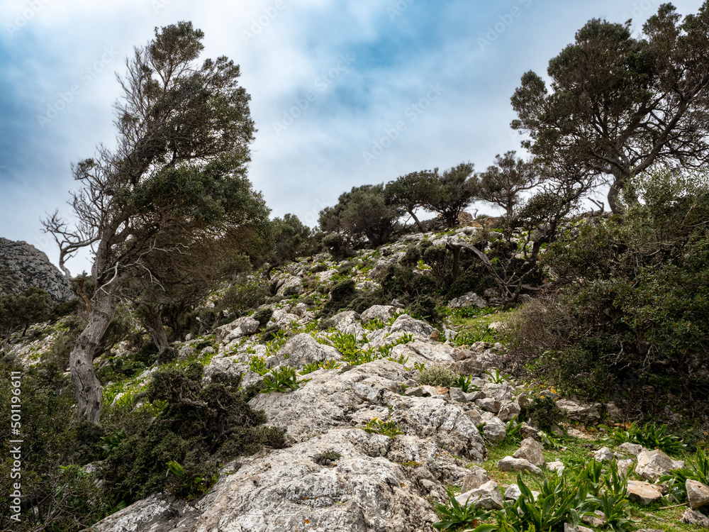 Landschaft Landschaft
