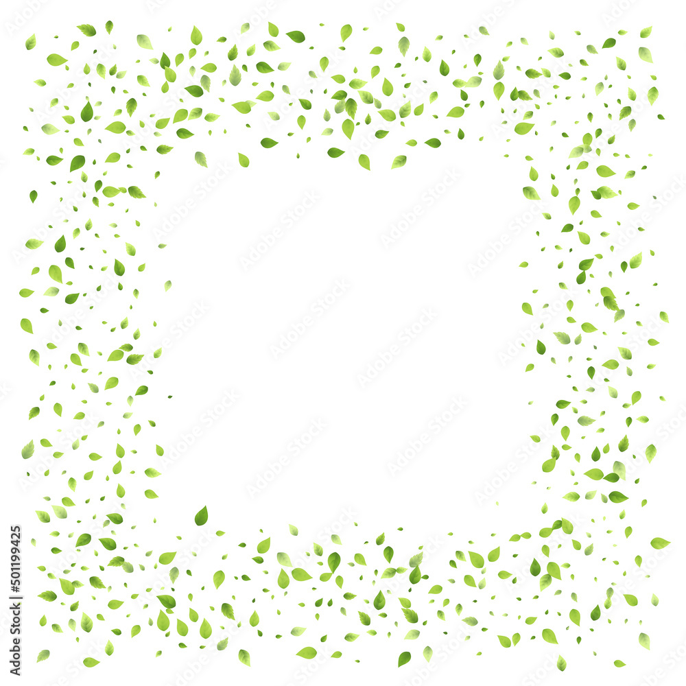 Leaves Green Falling Flying Foliage Leaf Tea Mint Leaves Green Falling Flying Foliage Leaf Tea Mint