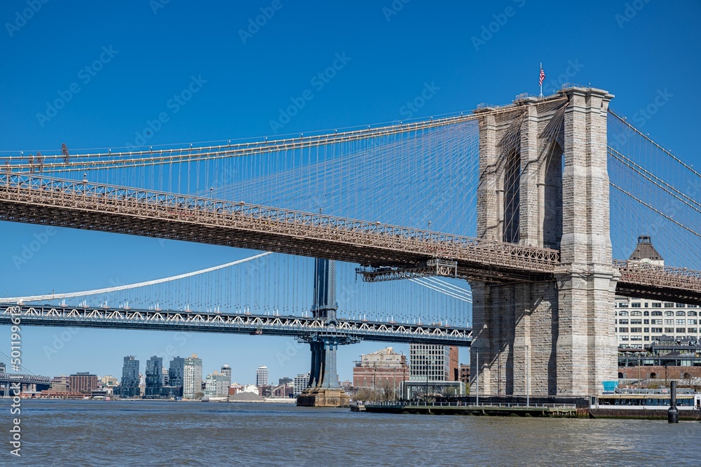 Fototapeta premium creative