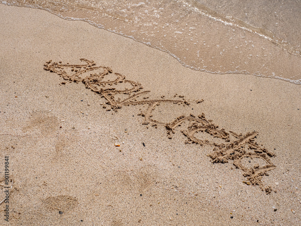 Fototapeta premium Meer