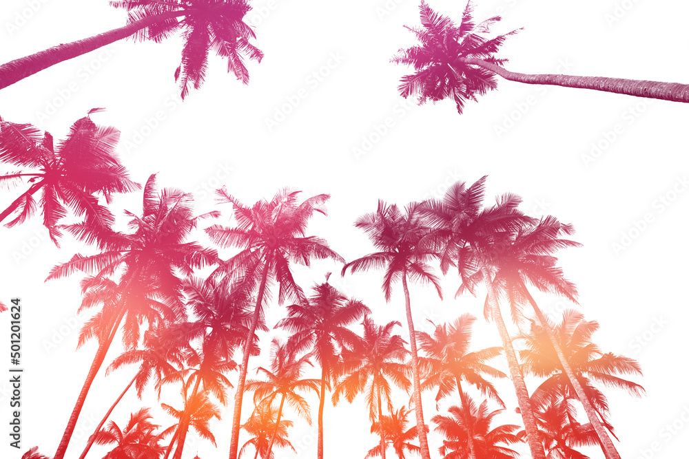 Double exposure effect of tropical coconut palm trees silhouettes isolated on white background with sunset sky