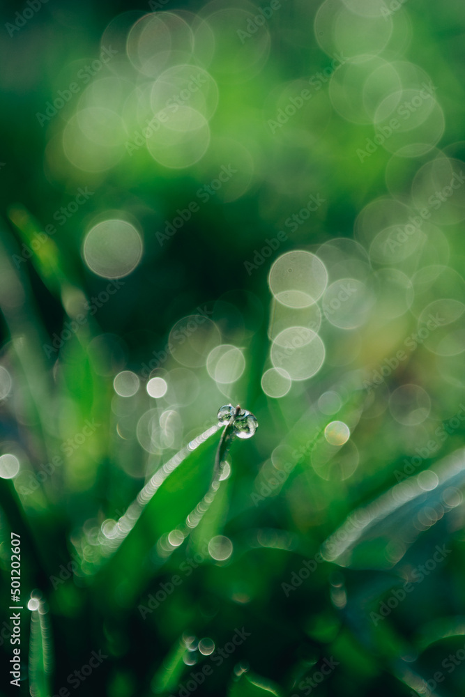 Obraz premium Amazing world under our feet