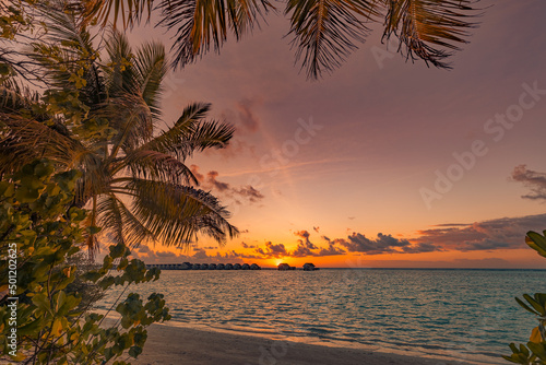 Silhouette of palm trees and sea horizon. Beautiful sunset on the tropical island coast beach background for travel in holiday relax time. Water villas in Maldives, exotic vacation. Romantic sunrise